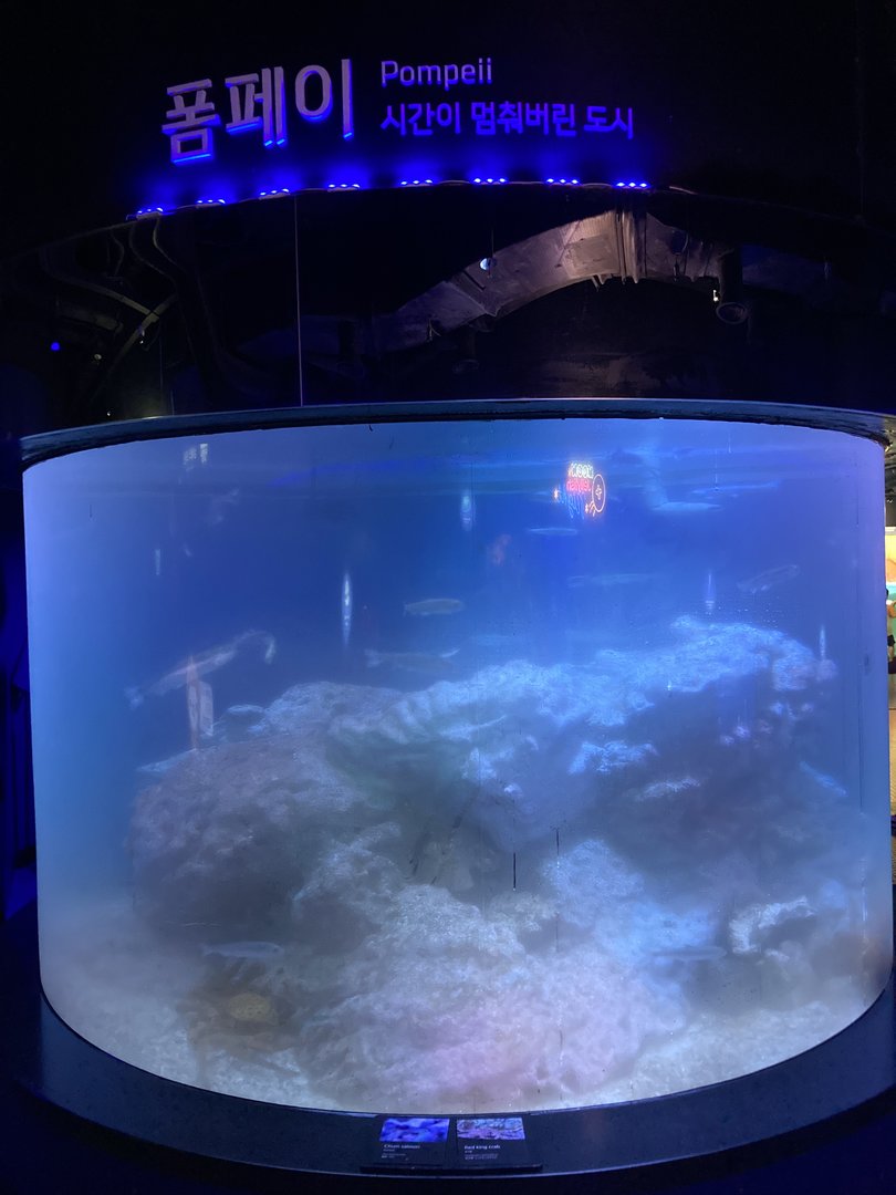 ‘Pompeii’ tank??