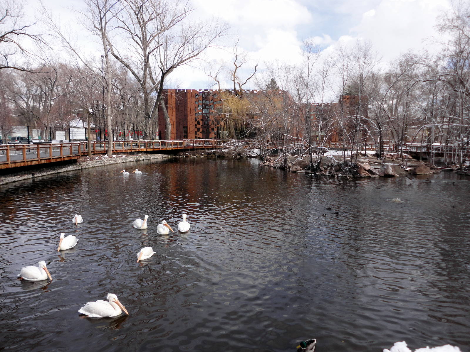 Pond 1 with New Boardwalk