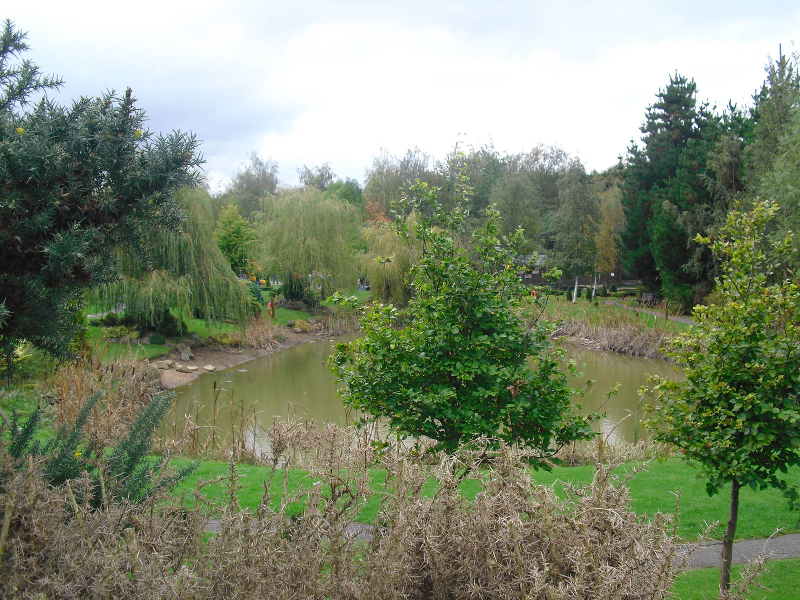 Pond - 16/10/2011