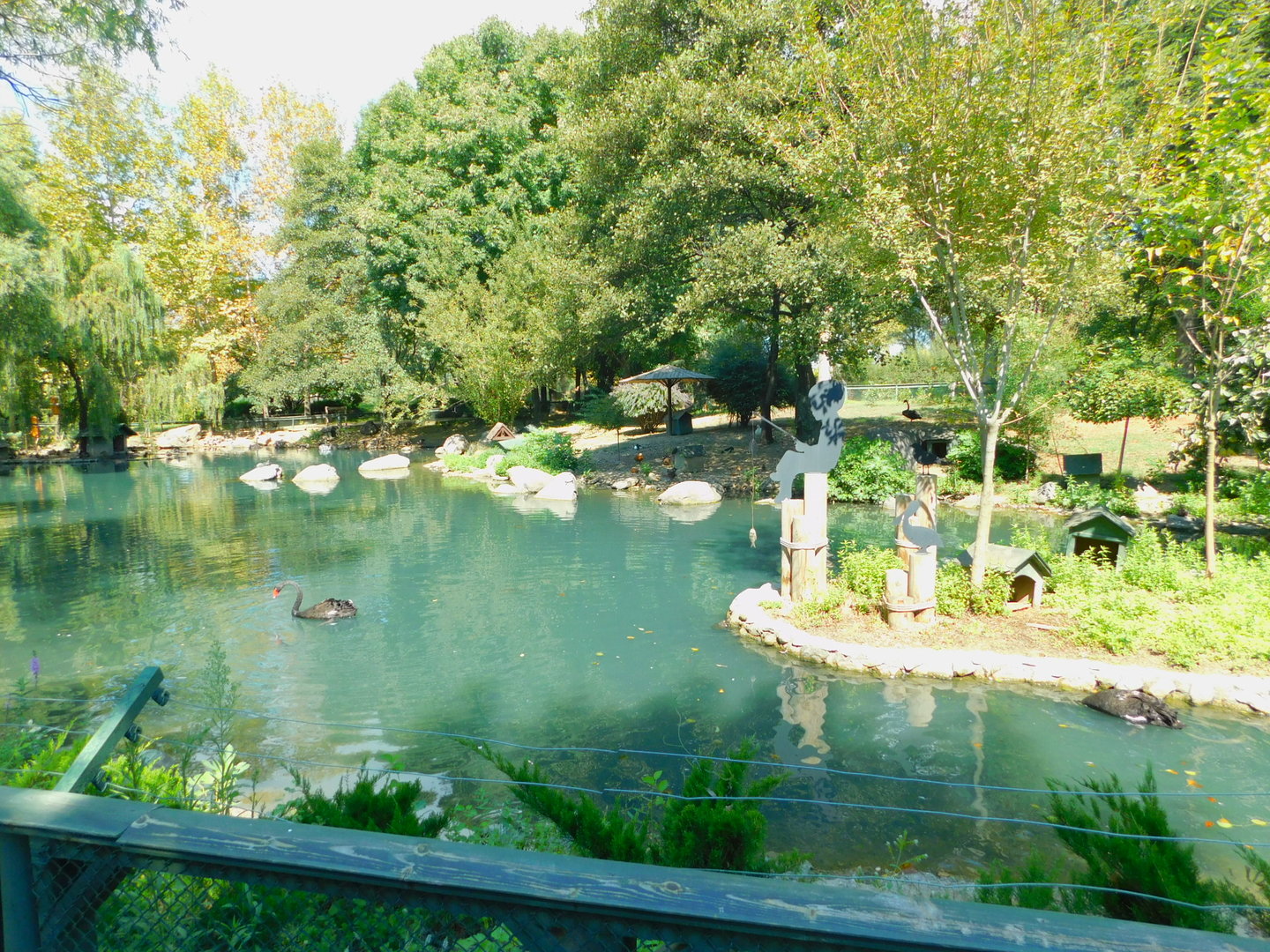 Pond Across the Entrance