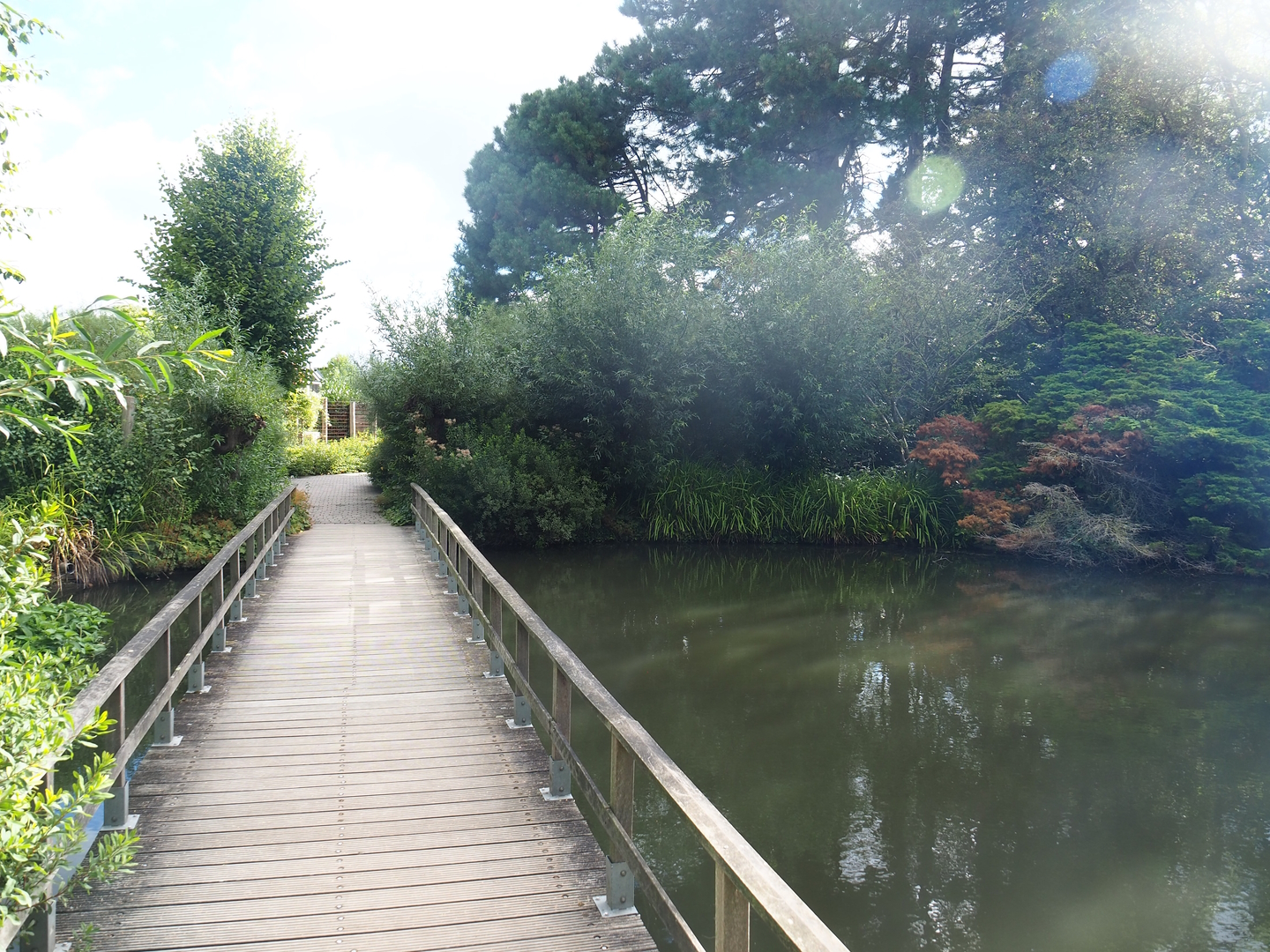 Pond and bridge towards old parrot aviaries, 2022-08-28