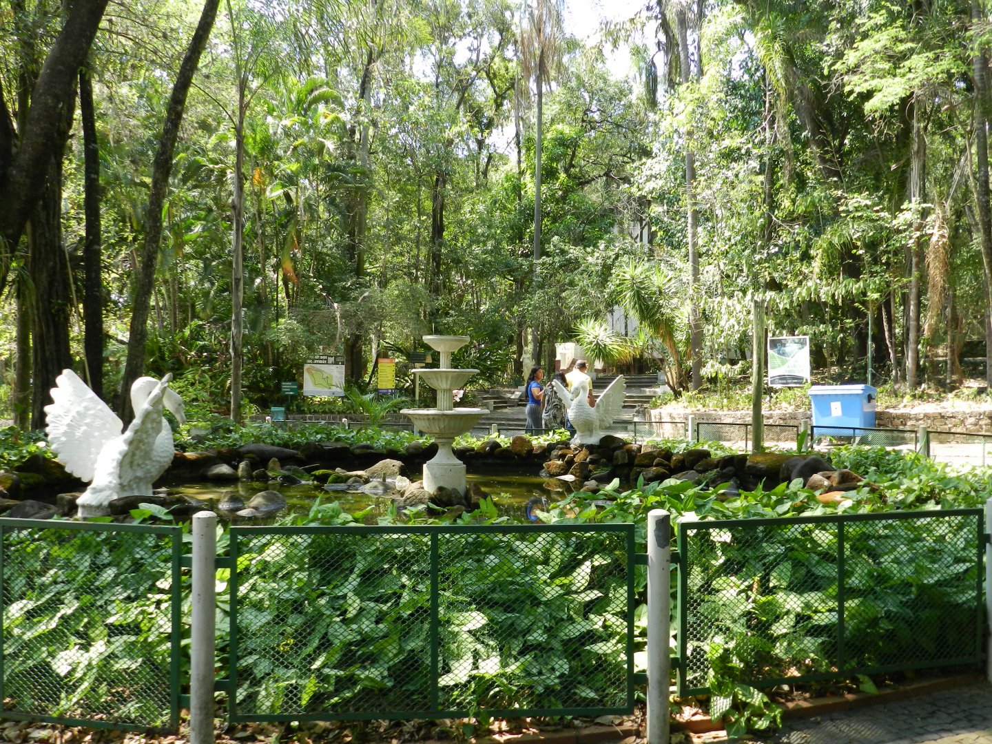 Pond and fountain - Campinas zoo (BDJ)