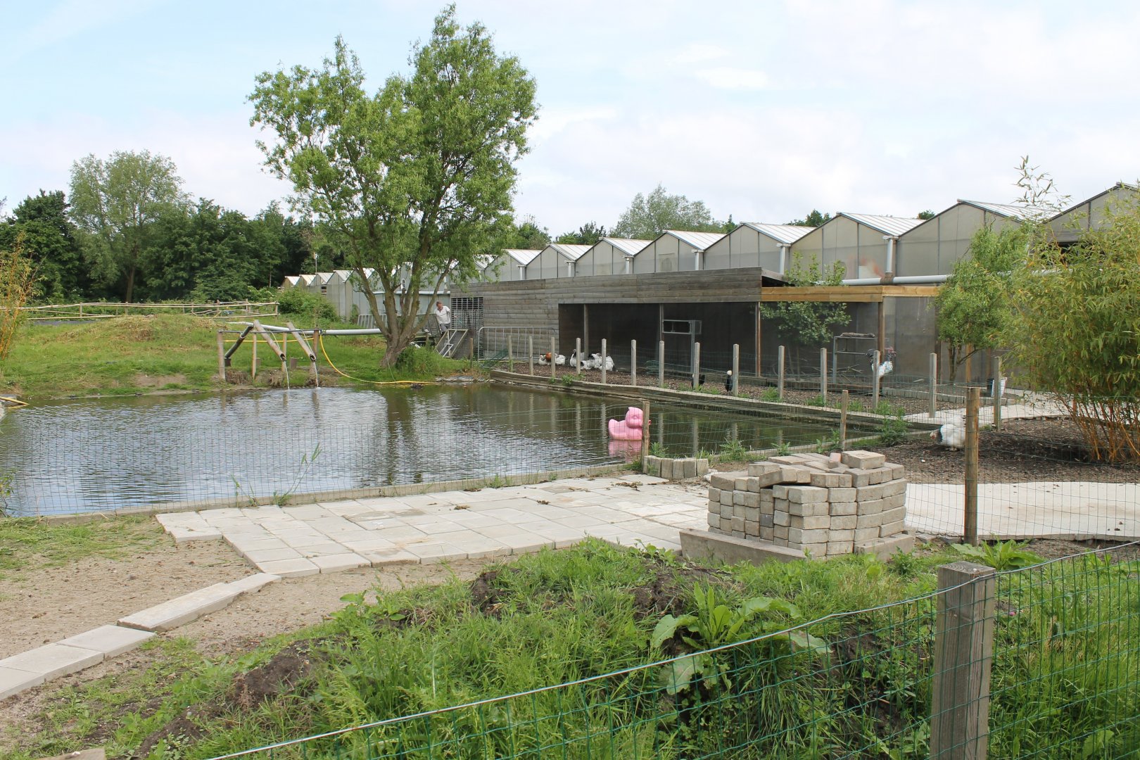 Pond and view on Almere Jungle