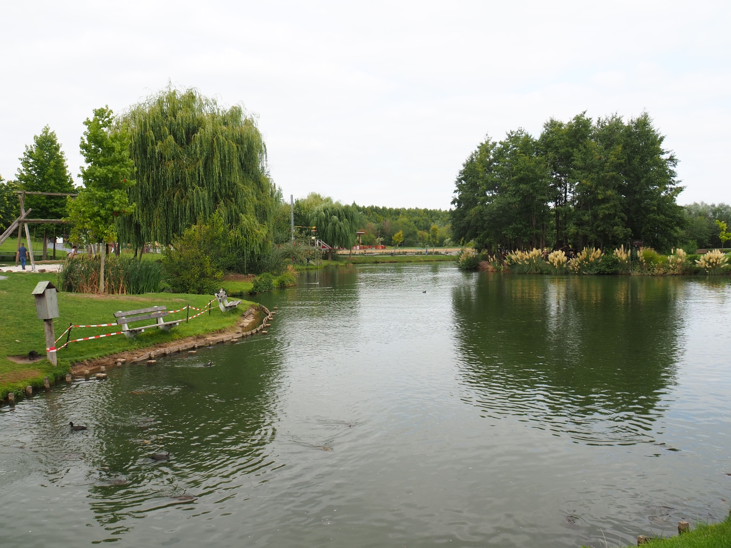 Pond (Aug 28th, 2018)