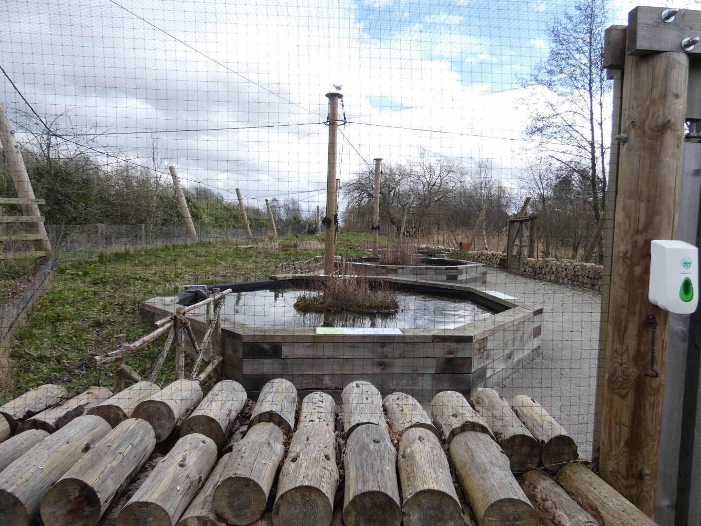 Pond dipping area