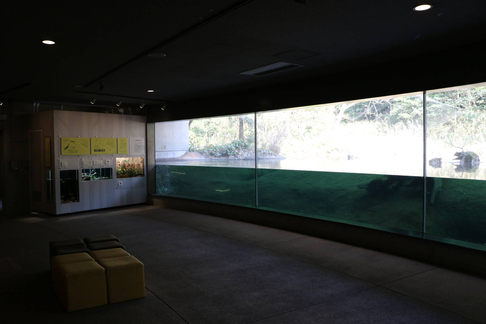 Pond exhibit - Tokyo Sea Life Park, February 2016