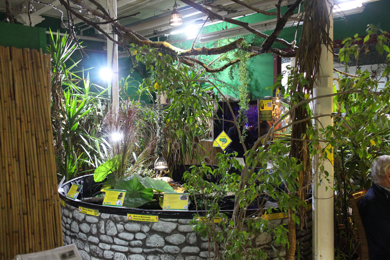 Pond Exhibit