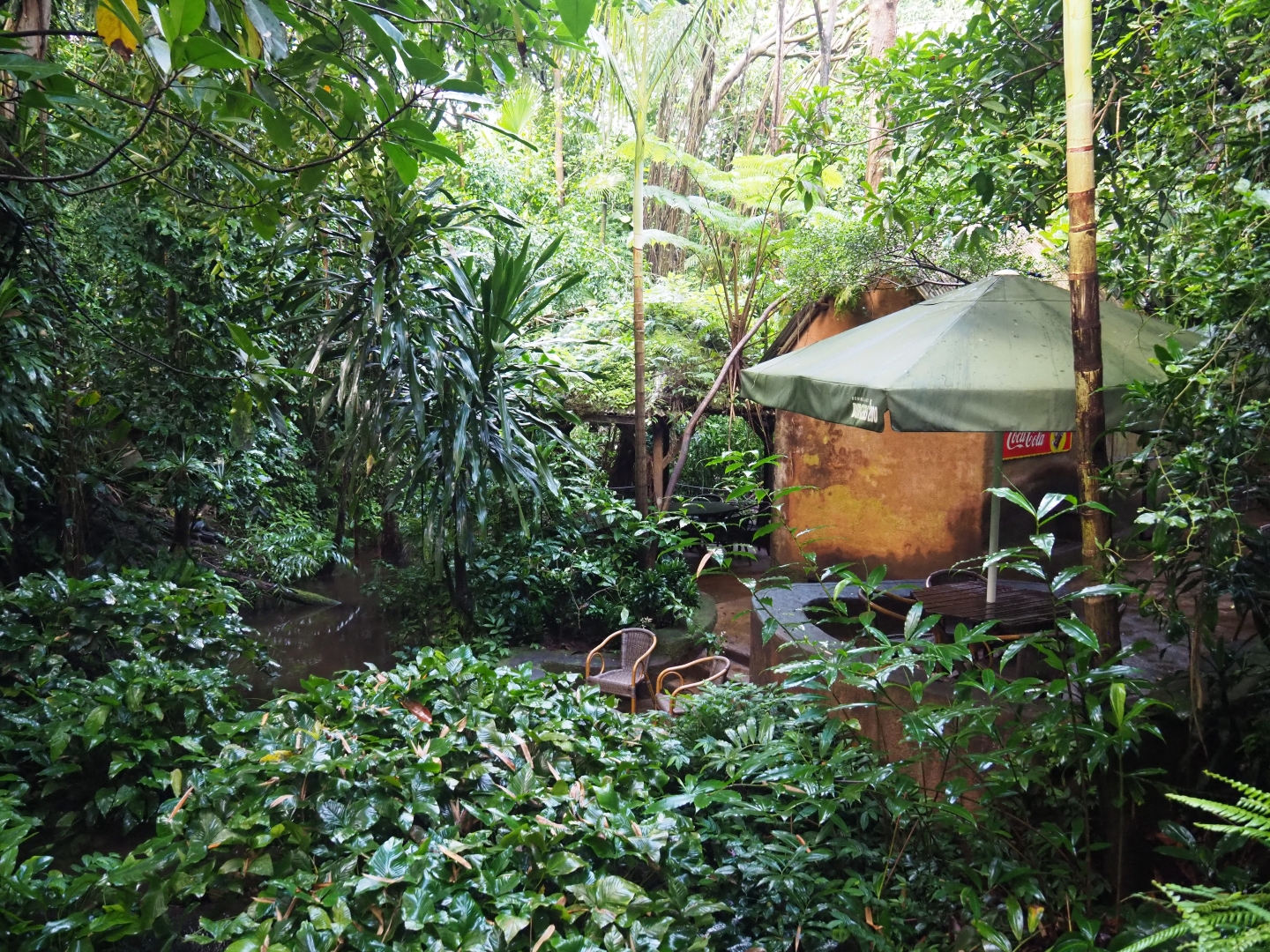 Pond, foliage, terrace area and shack (Sep 16th, 2018)