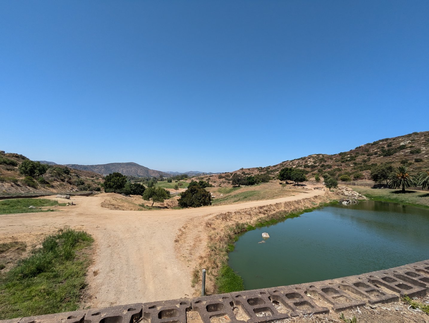 Pond in African Plains
