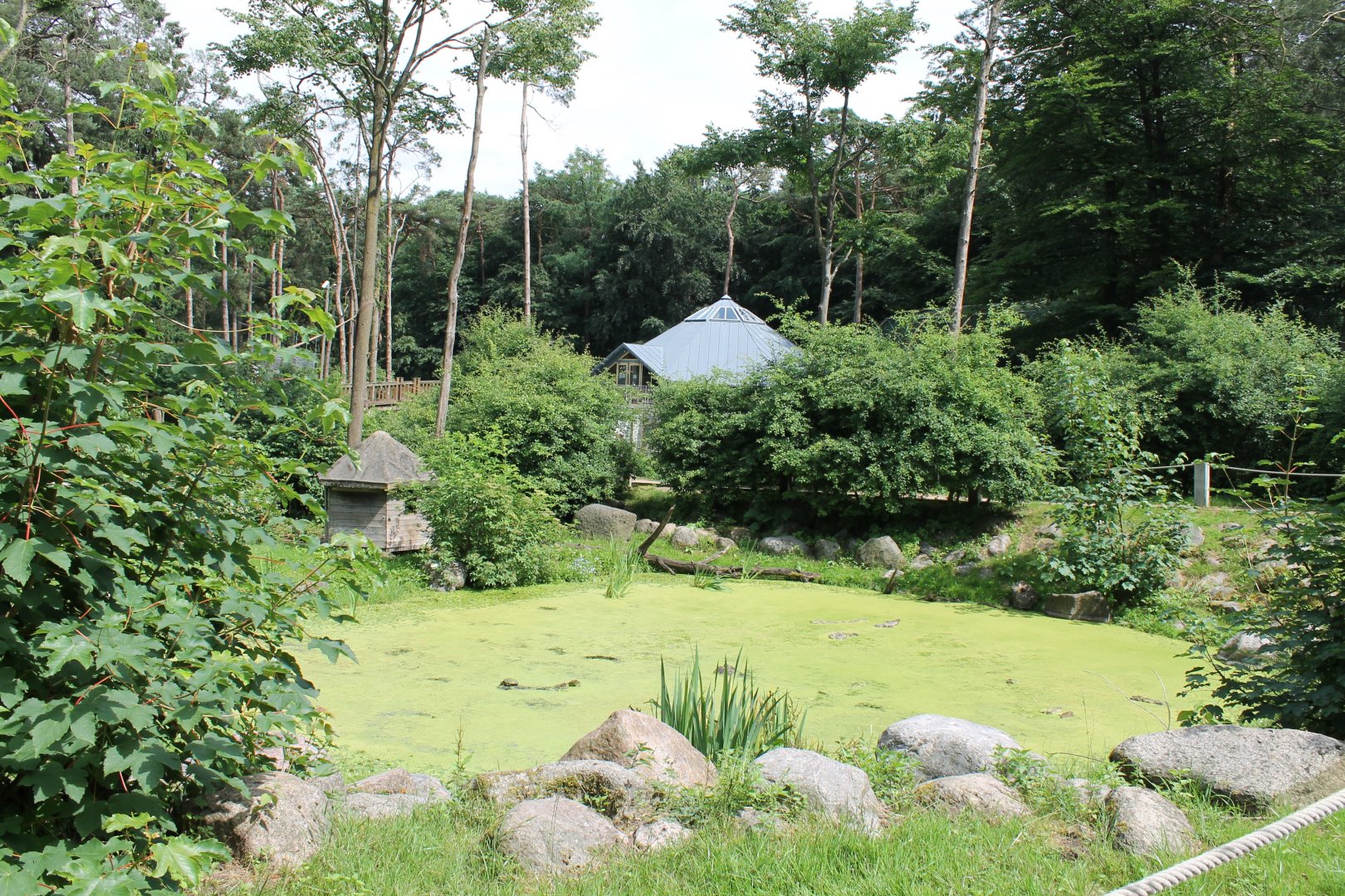 Pond in Barbary-monkey-walk-through