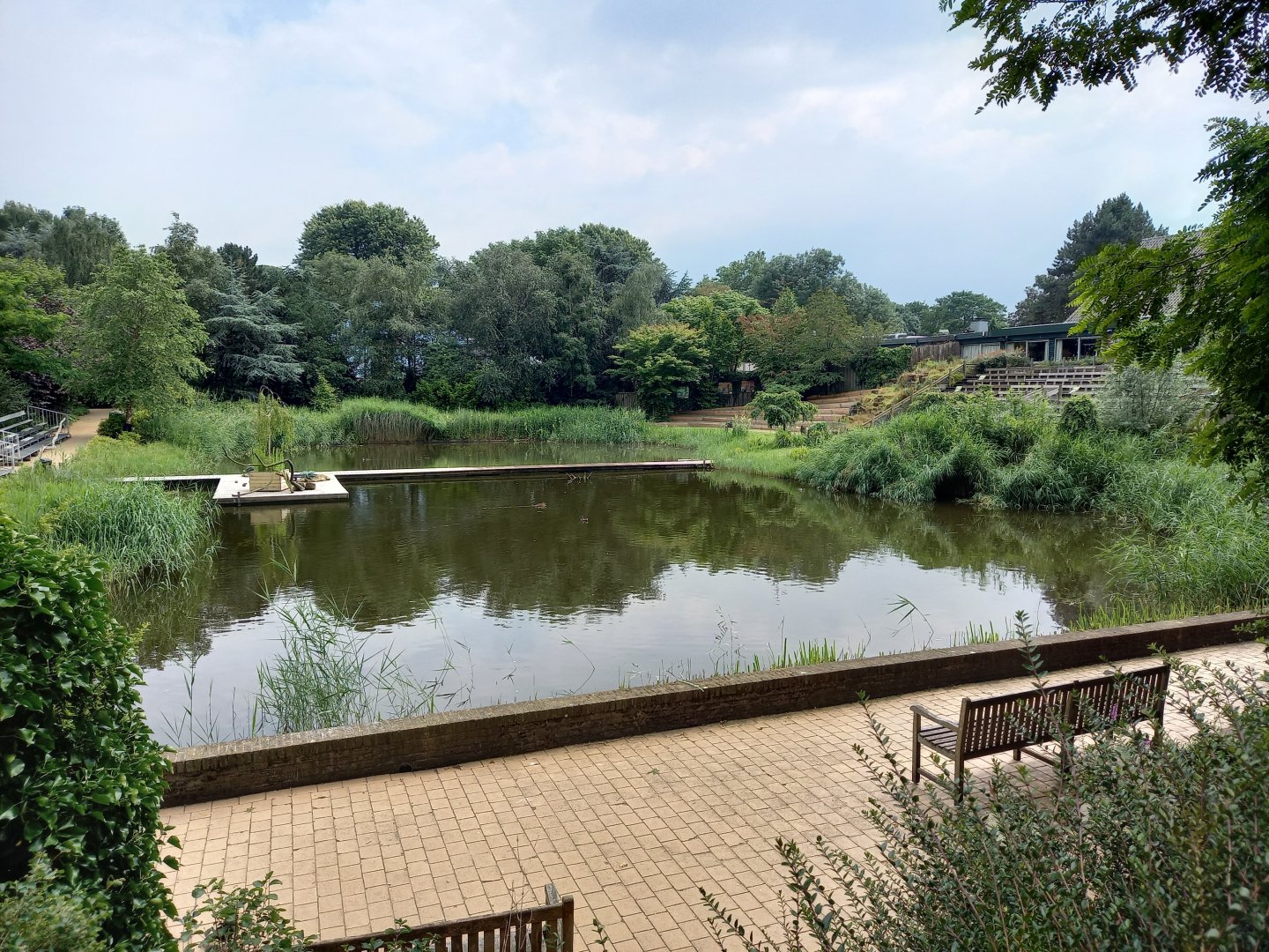 Pond in front of the Bird-show area