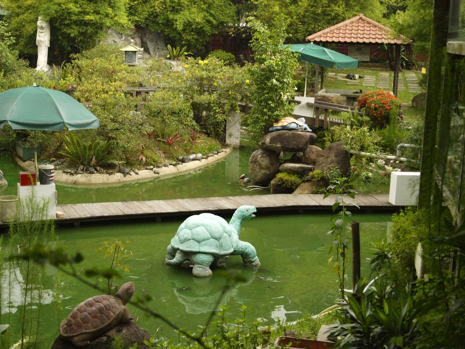 Pond in museum garden