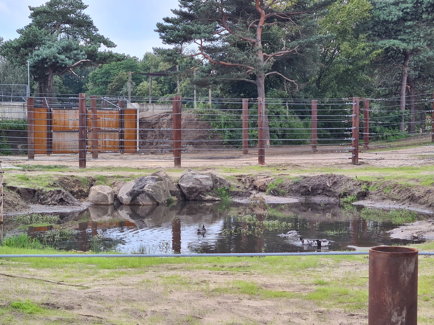 Pond in new Elephant bull yard