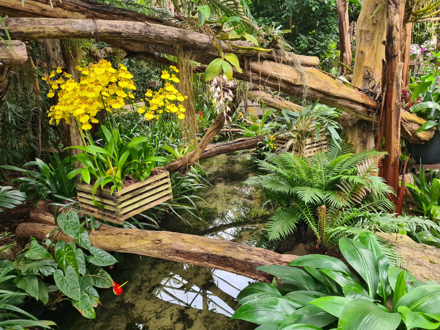 Pond in Orchid garden hall