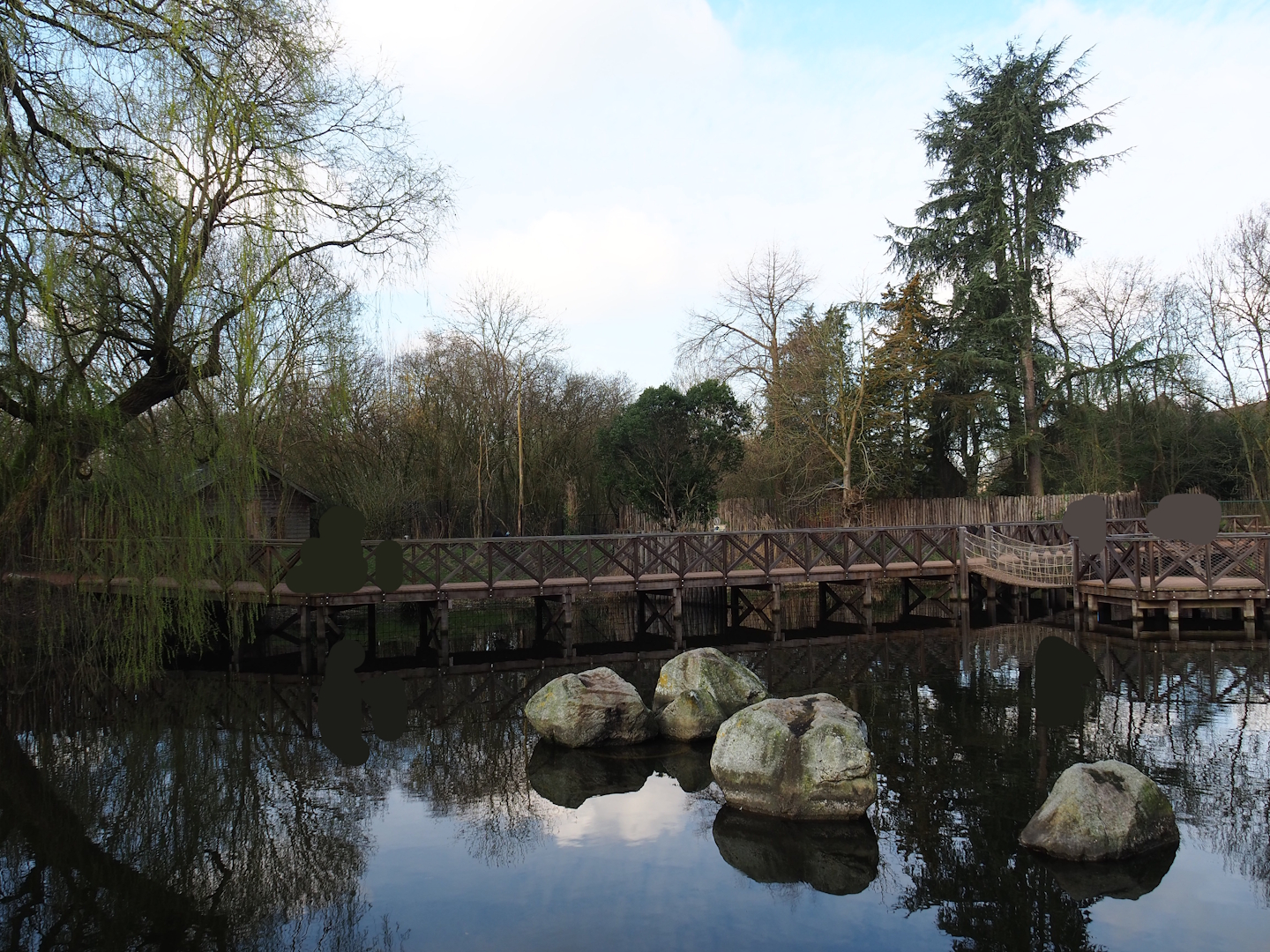 Pond in the Australian area with boardwalks next to the cassowary exhibits, 2024-03-04