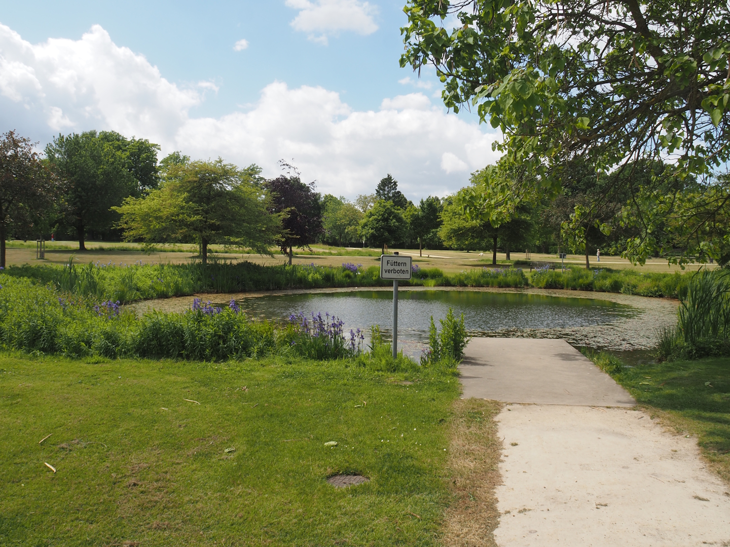 Pond in the Salinenpark next to NaturZoo Rheine, 2025-05-22
