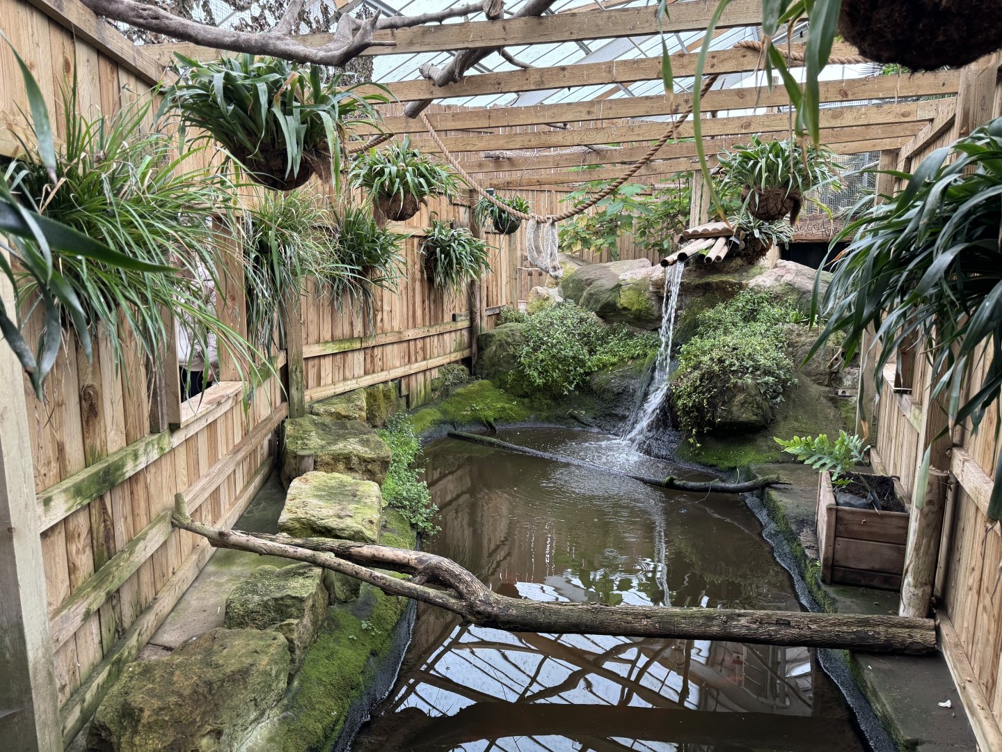 Pond in the Tropical House at Woodside Wildlife Park (May 2024)