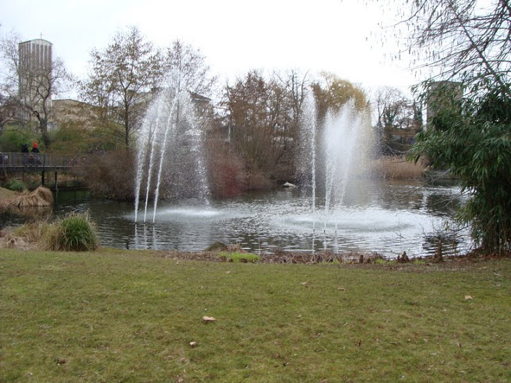Pond in the zoo