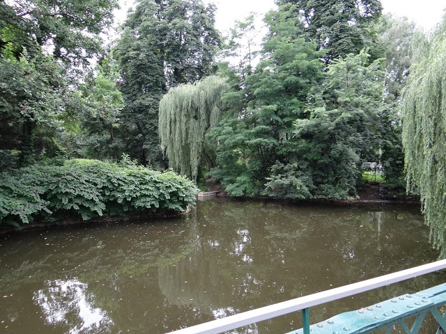 Pond in the zoo