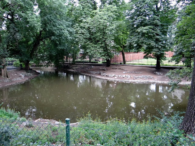 Pond in the zoo