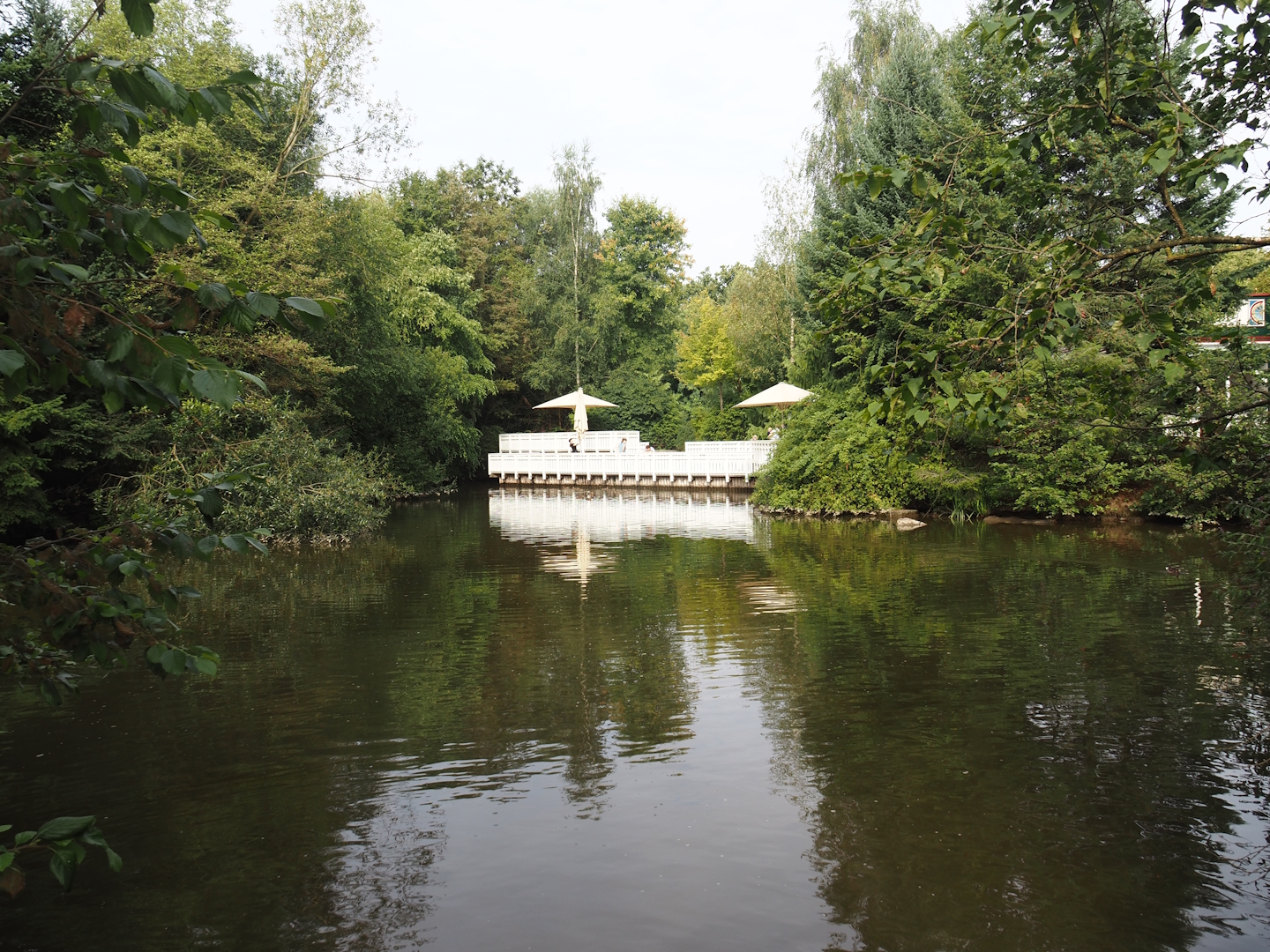 Pond near Alaska village, 2024-08-05