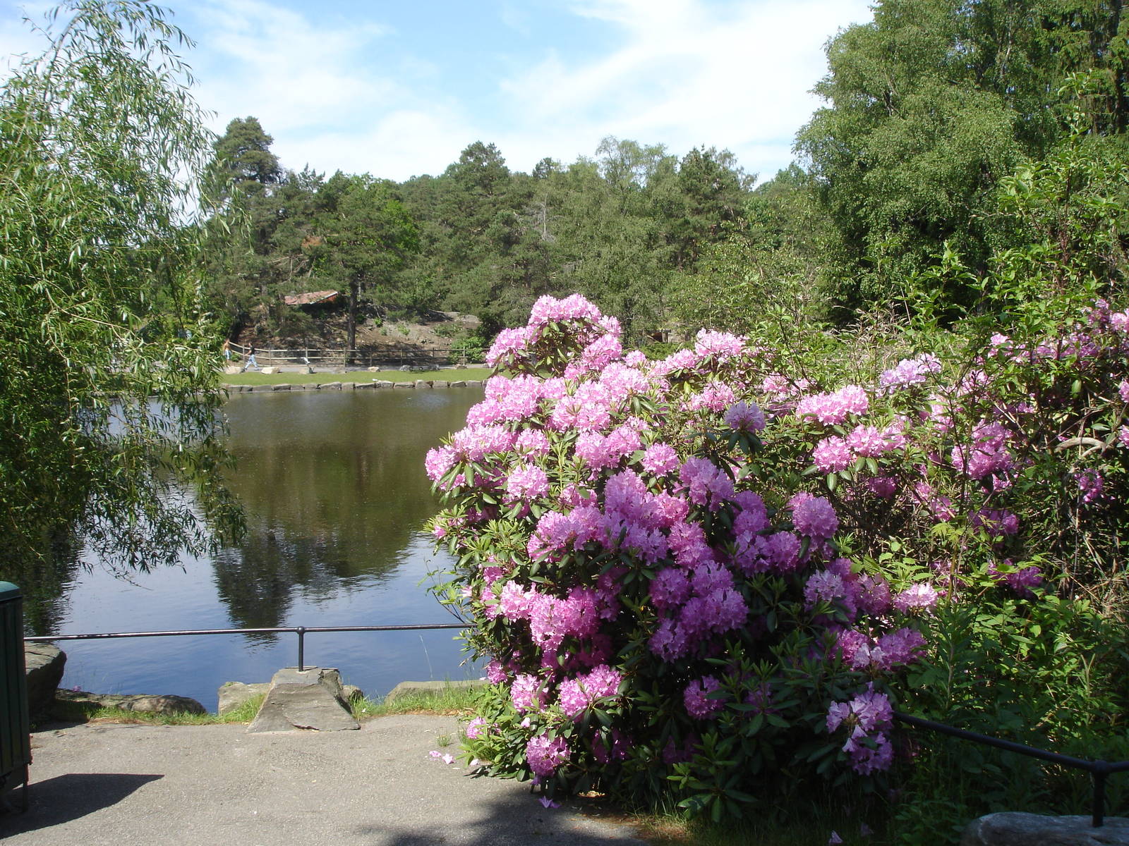 Pond near entrance with flowers