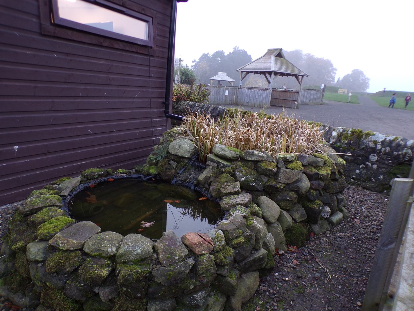 Pond outside education room