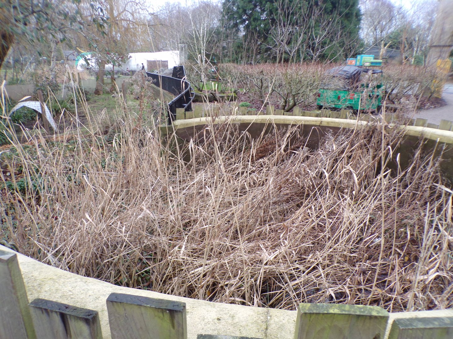 Pond shaped like a well 11.2.25