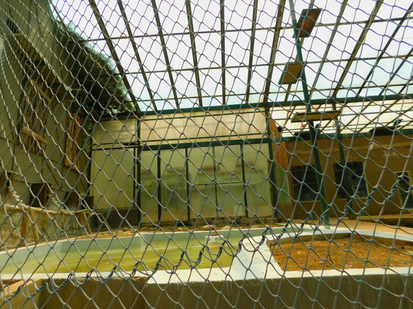 pond side of the ibis aviary