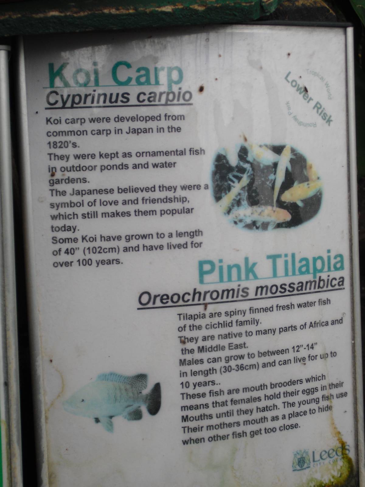 Pond Sign - 27/10/2011