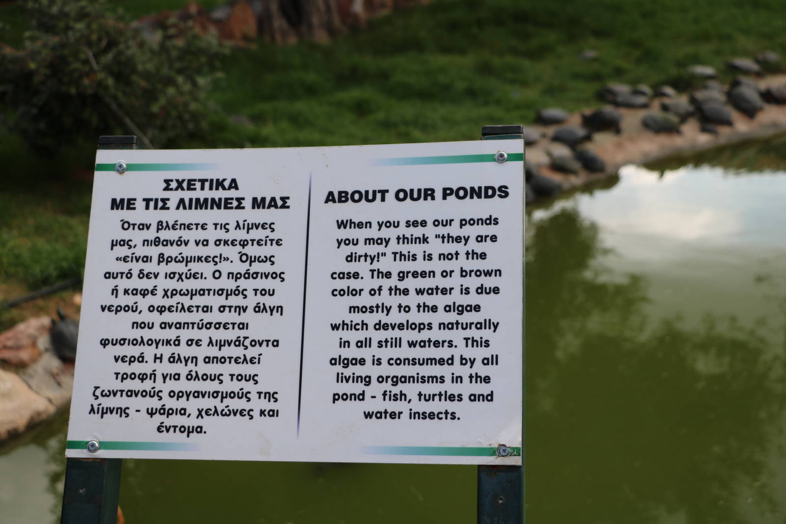 Pond sign, February 2016