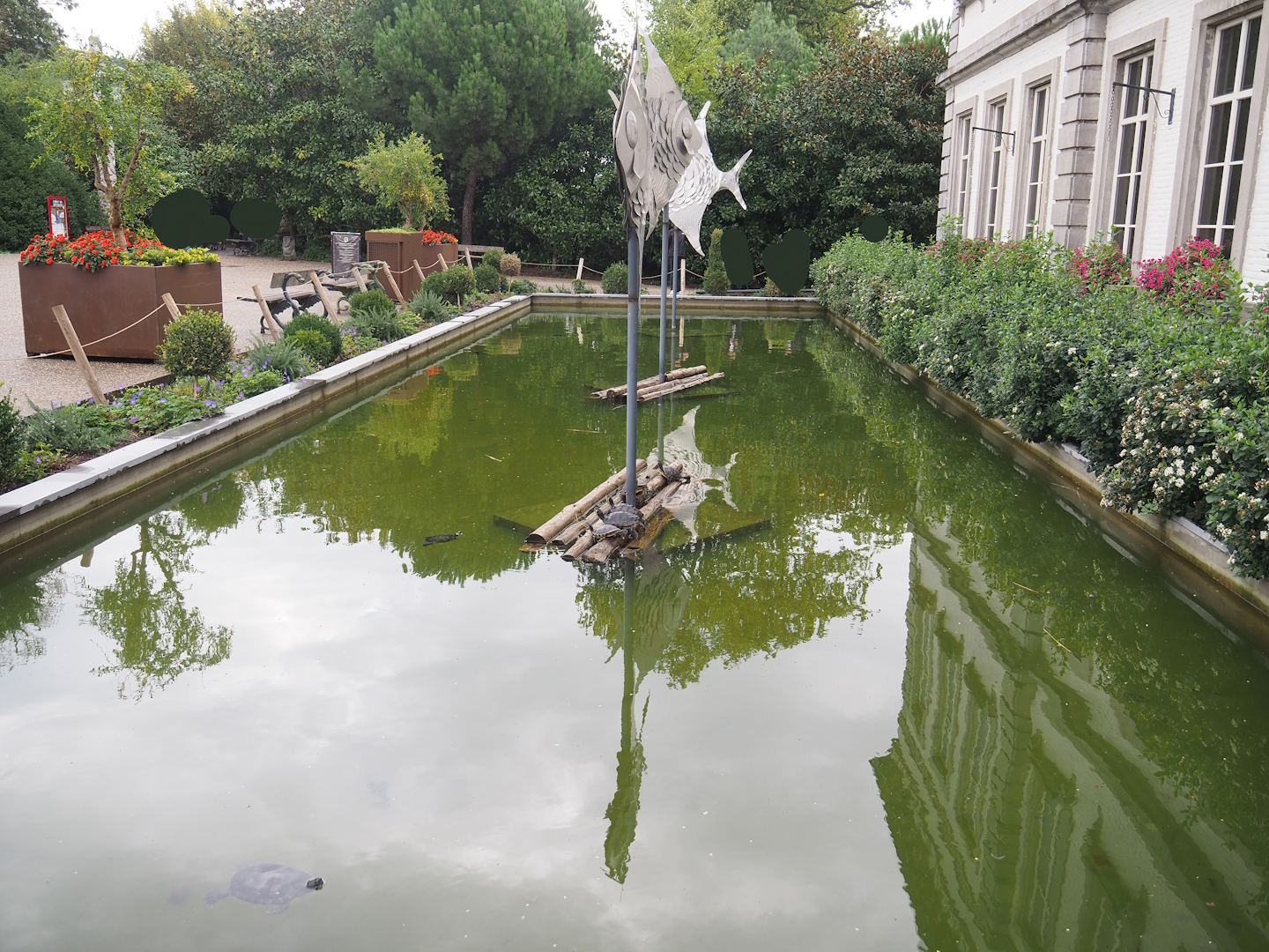 Pond slider turtle pond in front of the aquarium building, 2023-10-13