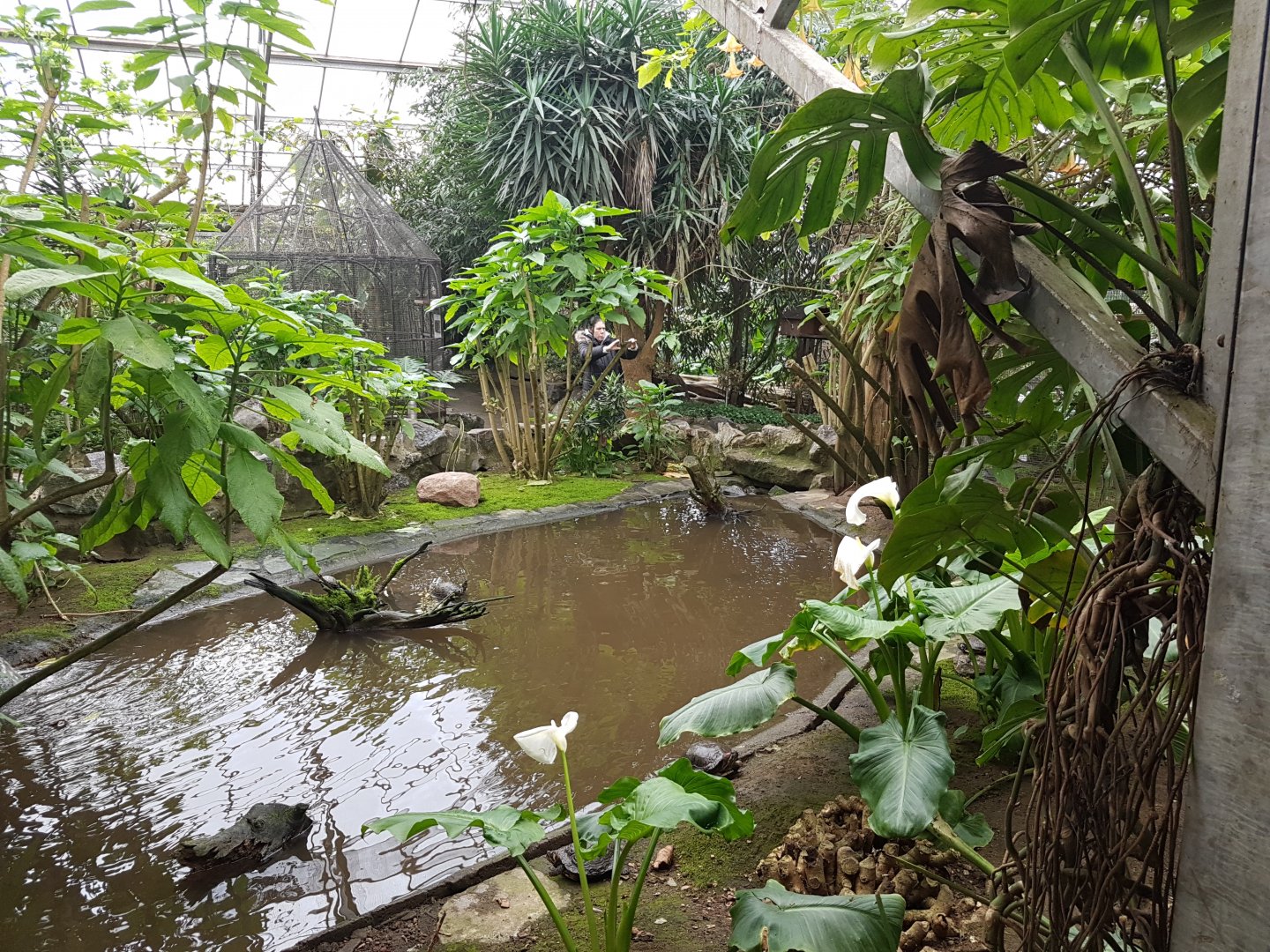 Pond Tropical House