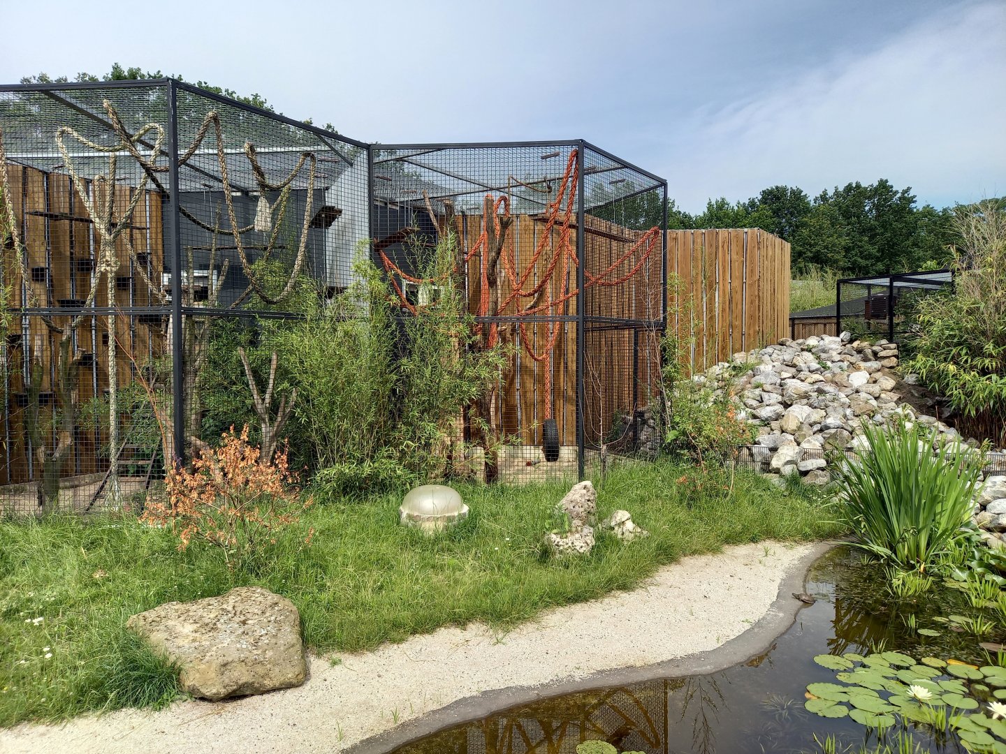Pond turtle ( front ) and Marten and Coati enclosures ( back )