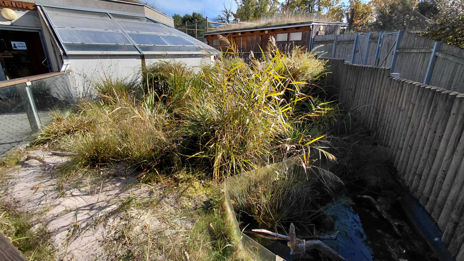 Pond turtle outdoor exhibit