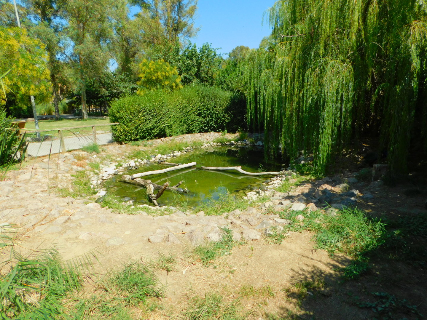 Pond Turtle/Slider Enclosure