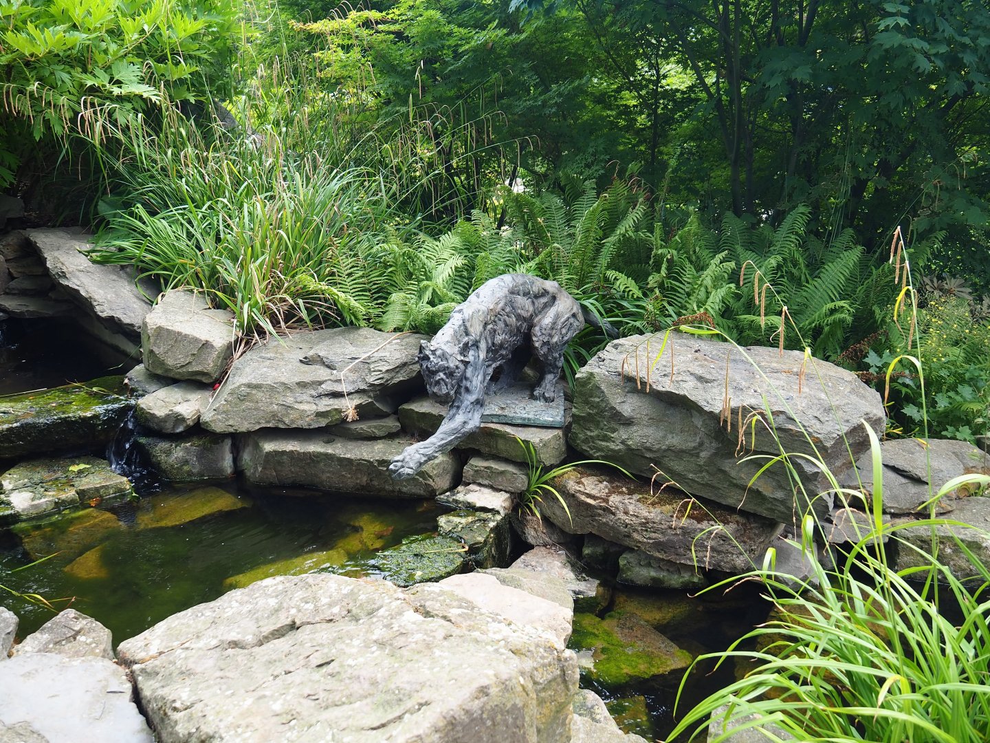 Pond with fishing jaguar statue, 2020-06-28
