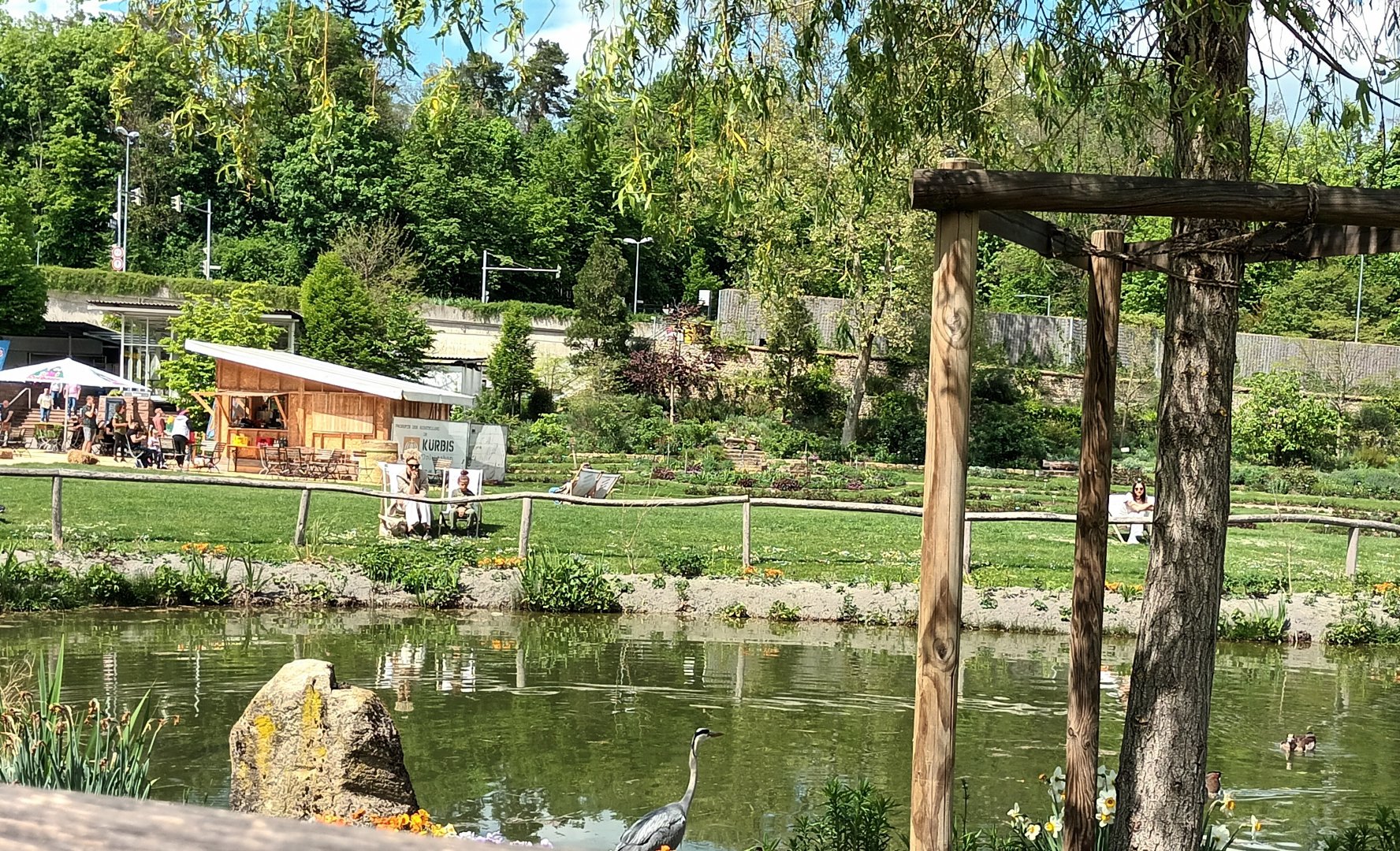 Pond with wild Egyptian Goose and Grey Heron