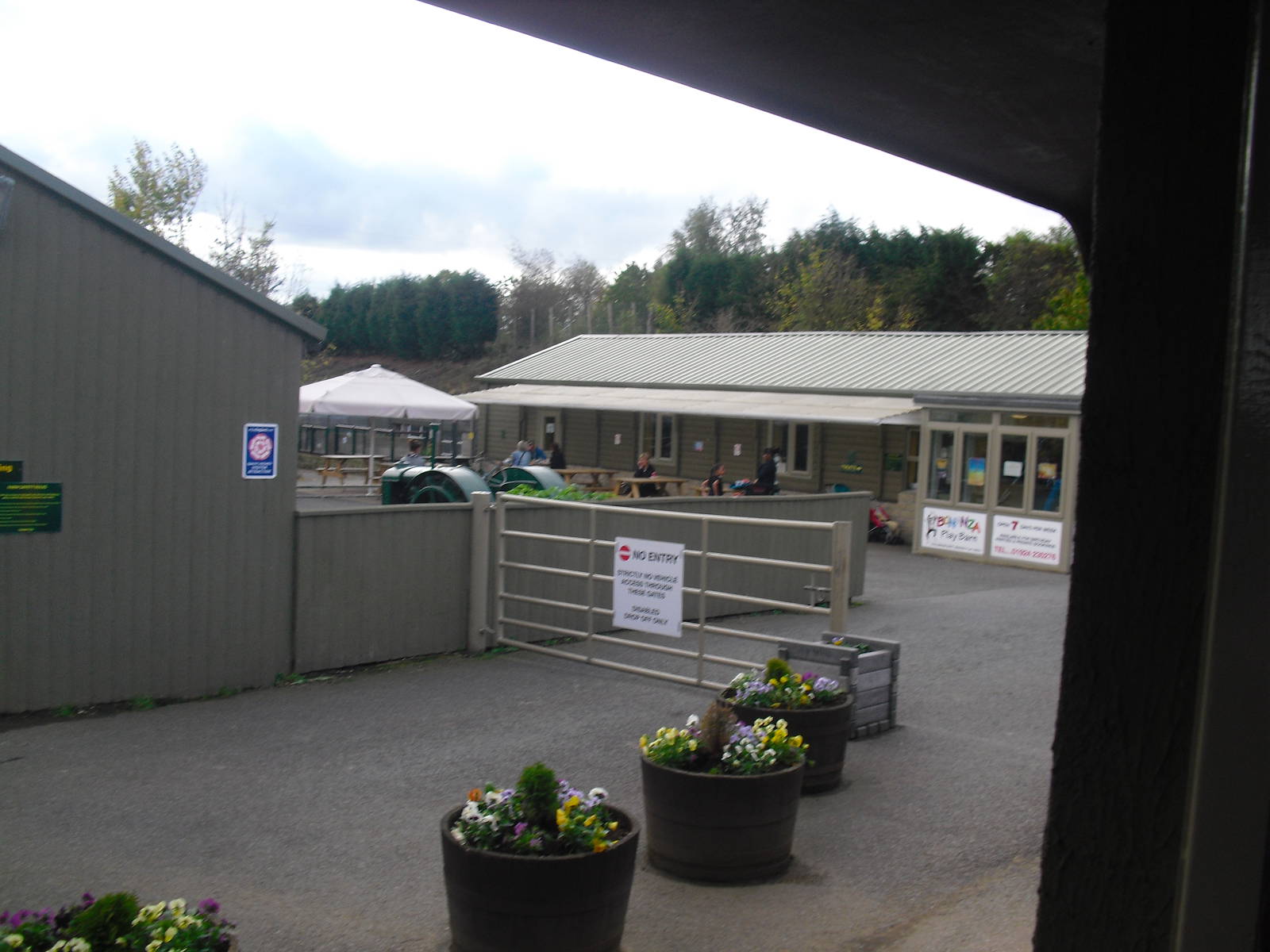 Ponderosa Entrance Area - 16/10/2011