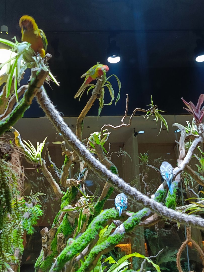 Pondok Indah Mall - Greenhouse Aviary