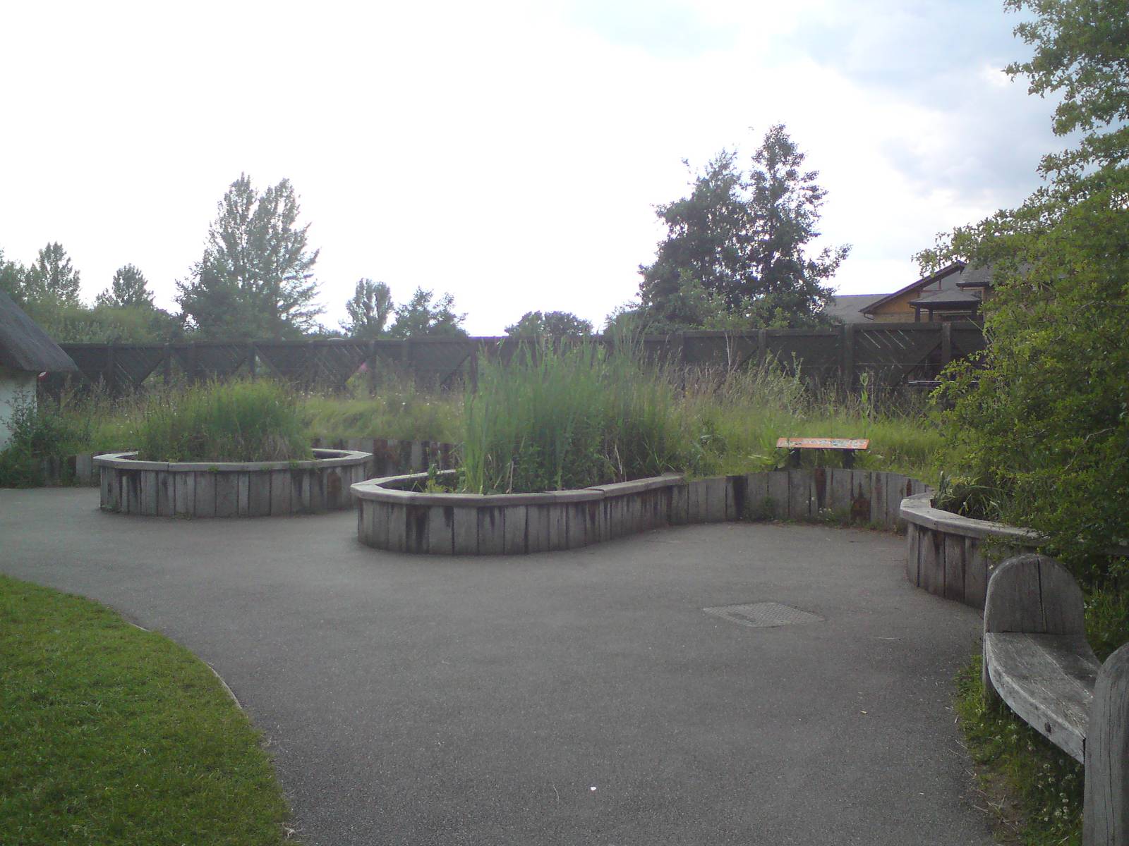 Ponds for native wildlife