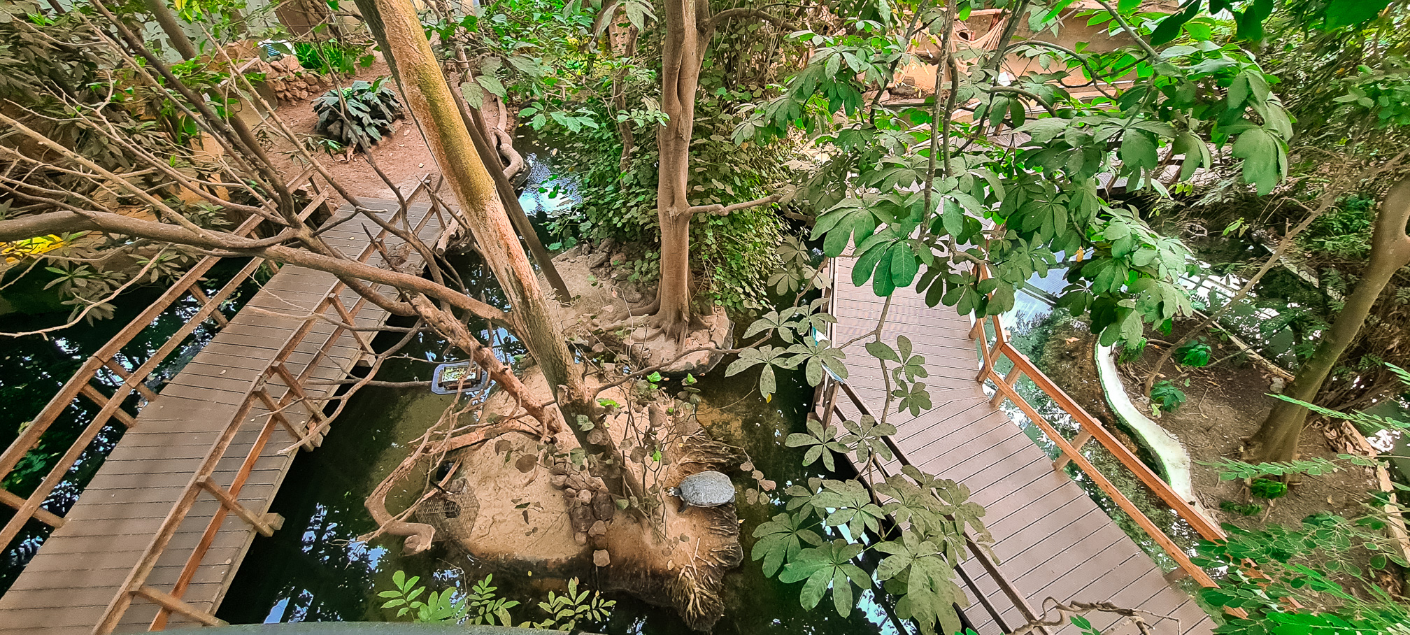 Ponds inside the tropical house