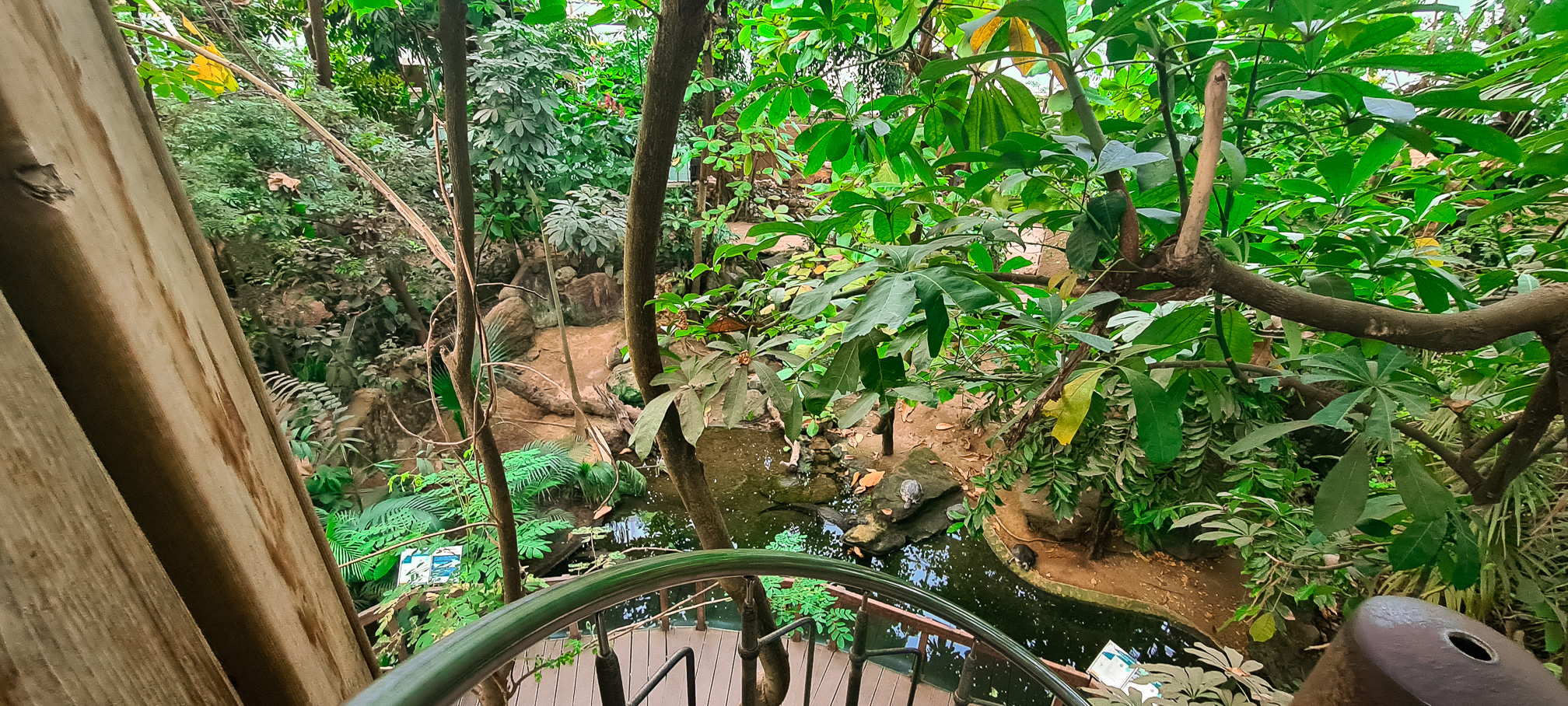 Ponds inside the tropical house