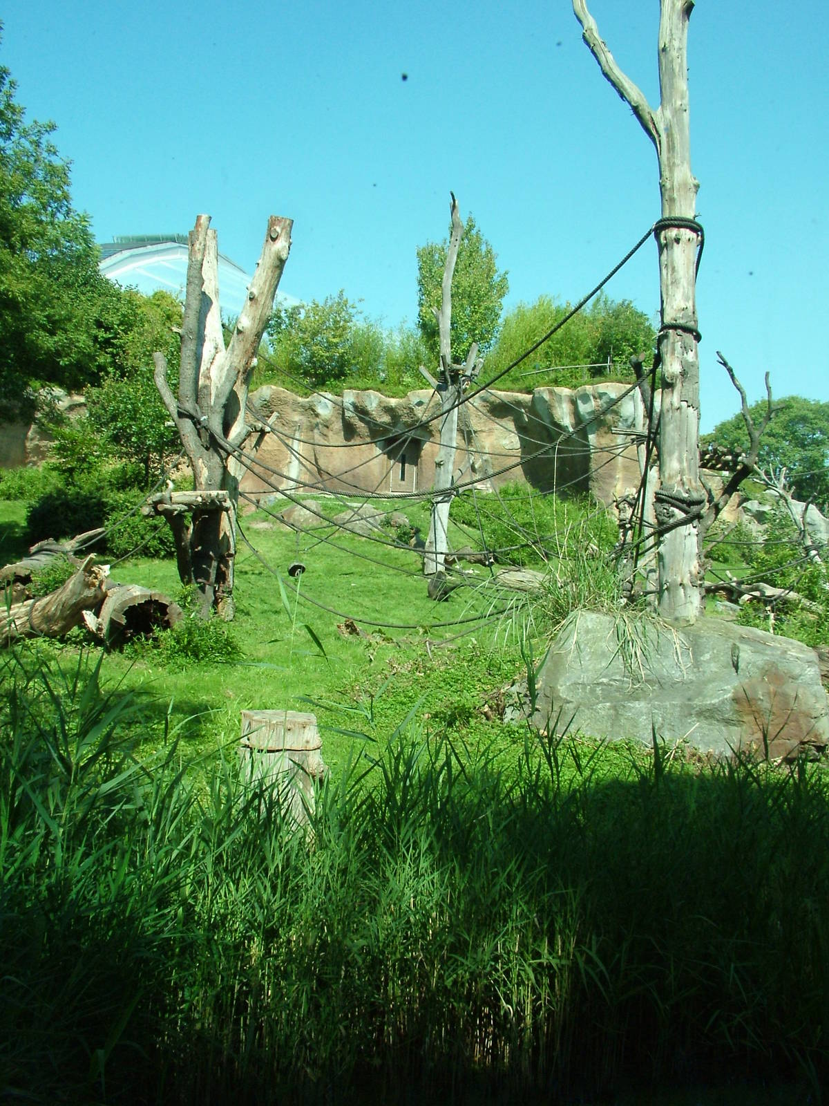 Pongoland at Leipzig, 02/09/11