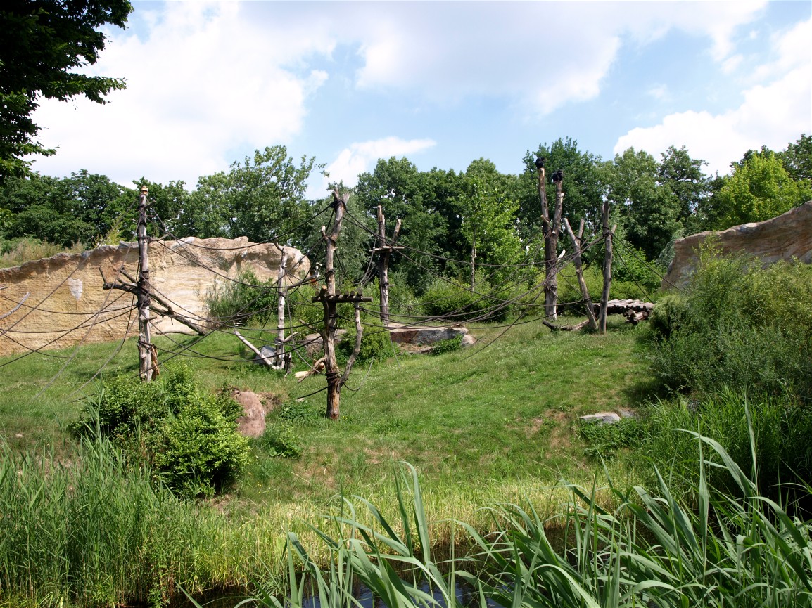 Pongoland - Chimpanzee enclosure