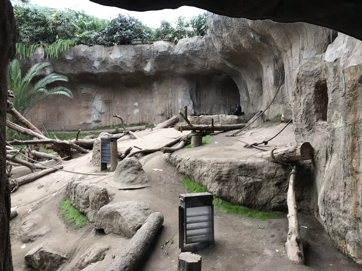 Pongoland - Chimpanzee indoor exhibit 280118