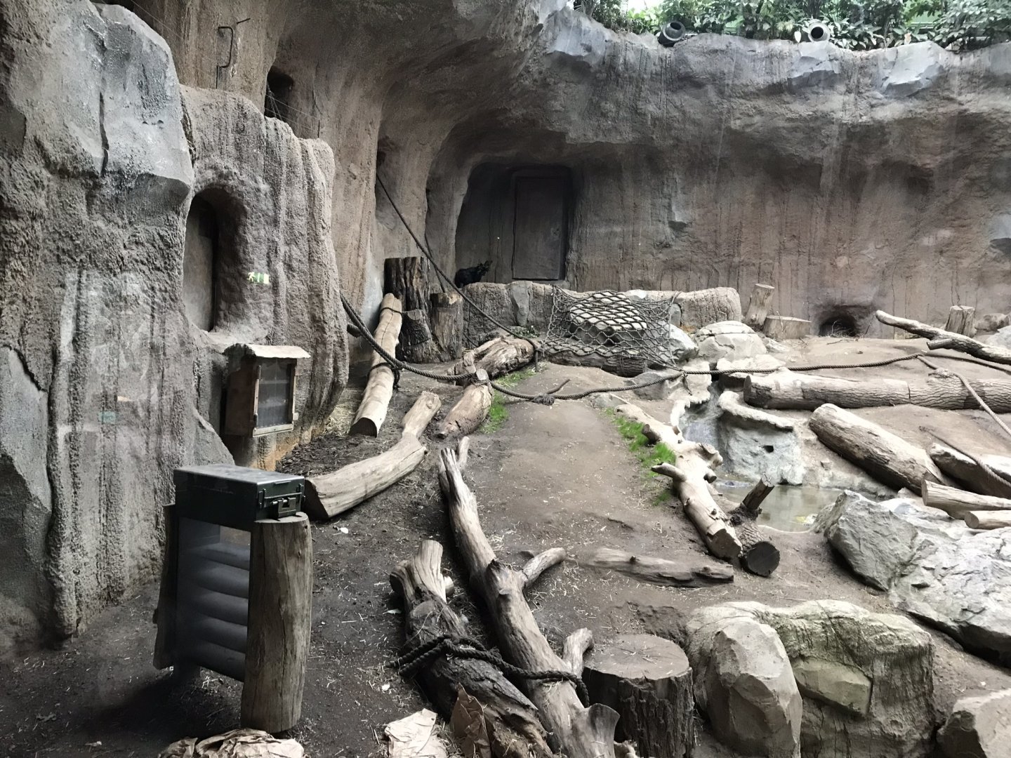 Pongoland - Chimpanzee indoor exhibit 280118