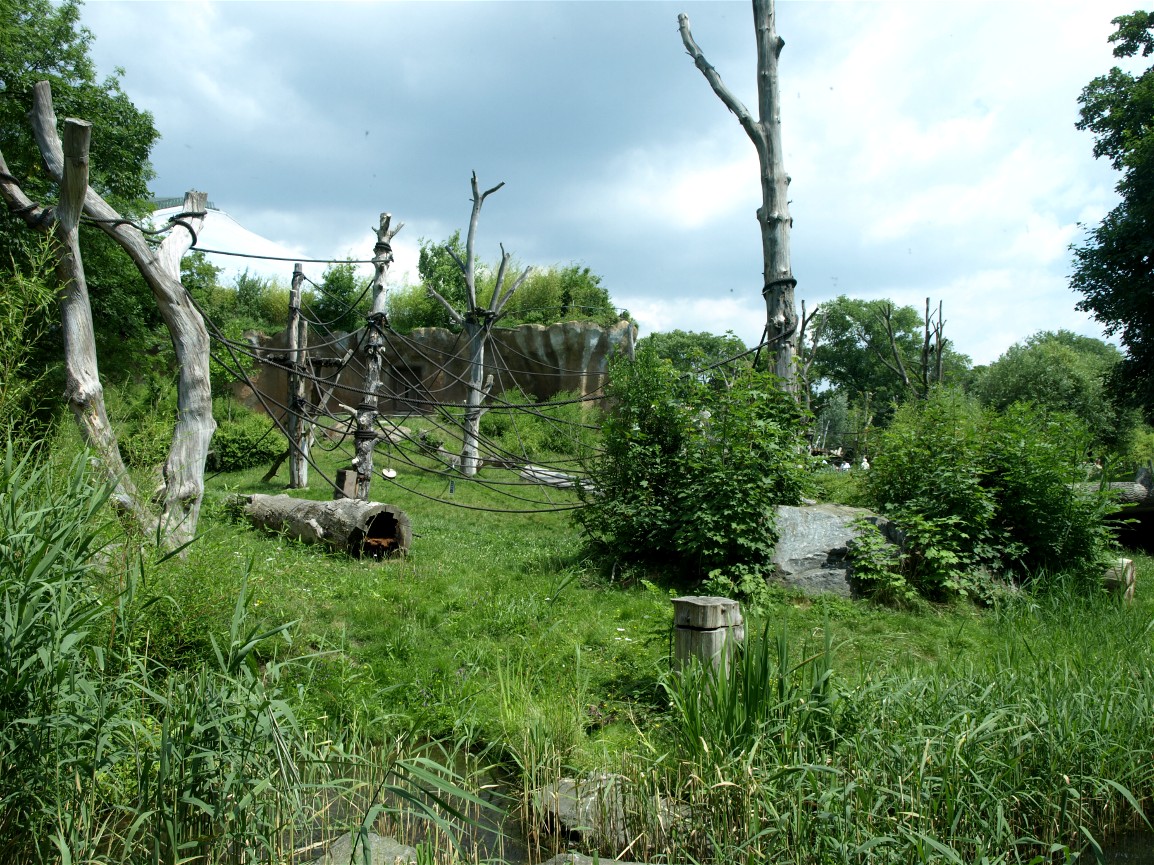 Pongoland - Gorilla enclosure