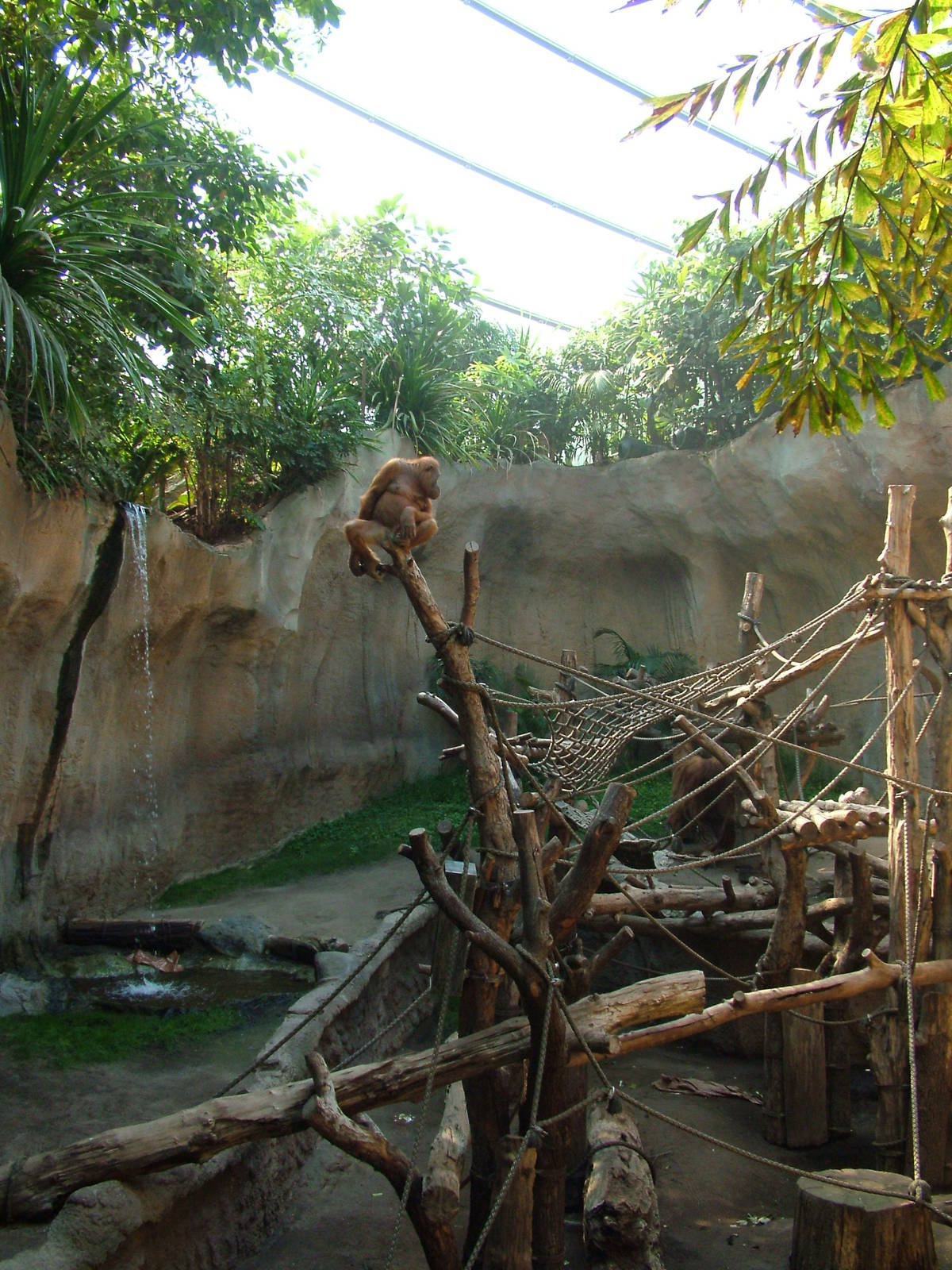 Pongoland Interior at Leipzig, 02/09/11