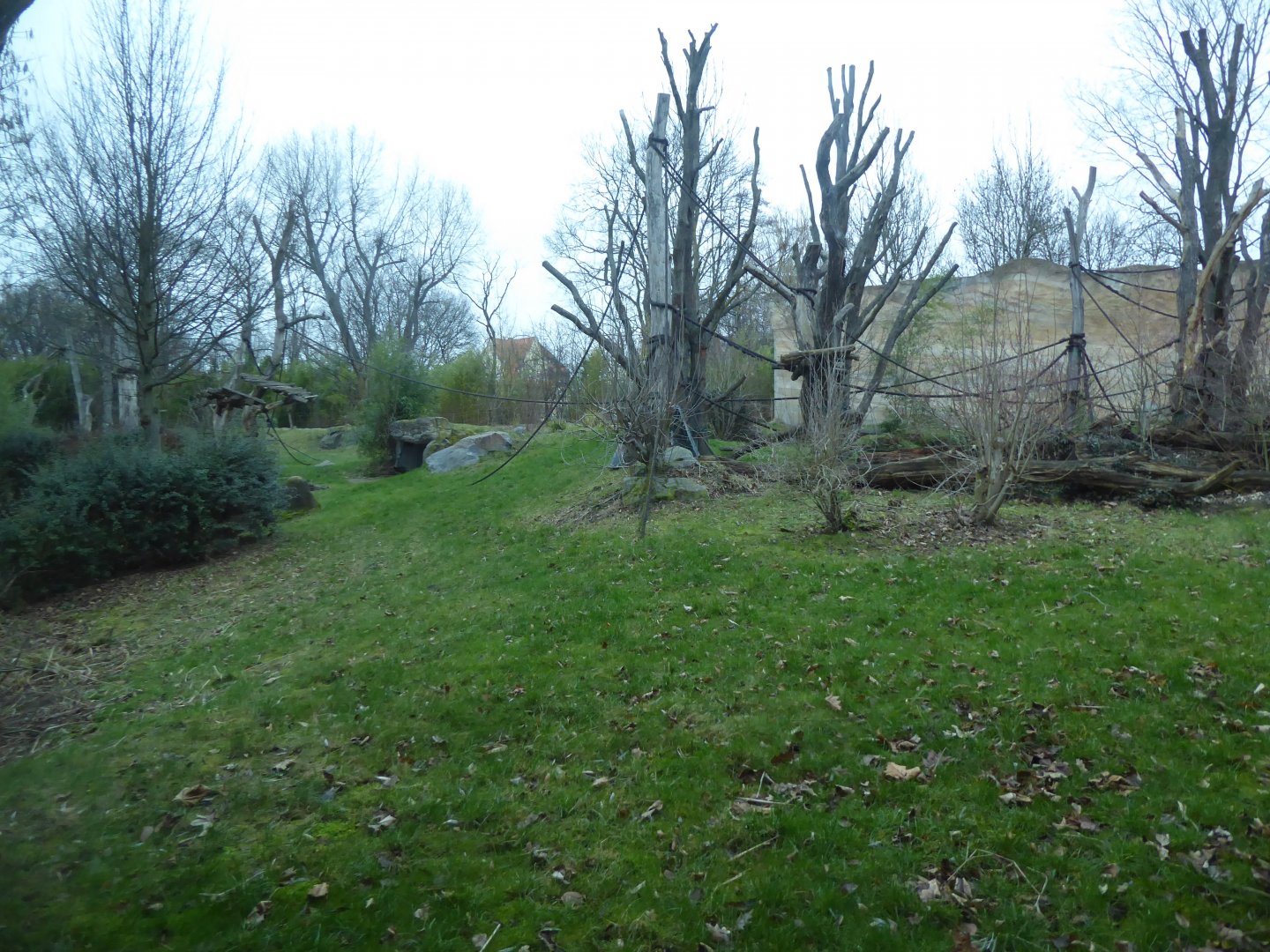 Pongoland outdoors 280118